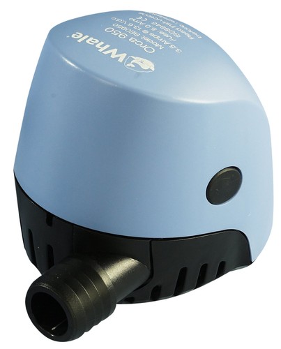 Whale bilgenpumpe orca - whale,
